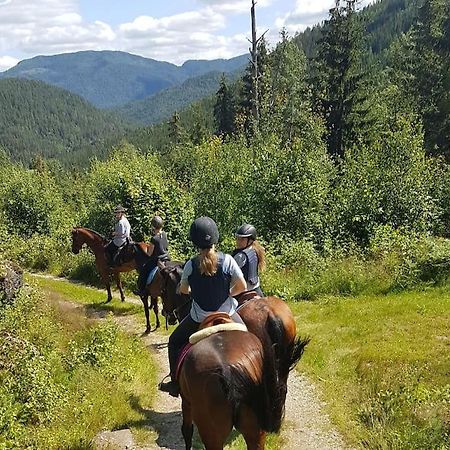 River Run Ranch - Telemark Drangedal Buitenkant foto