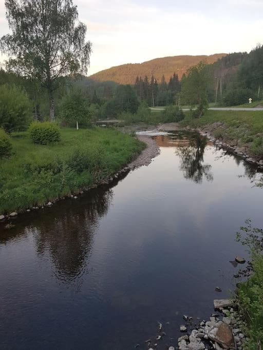 River Run Ranch - Telemark Drangedal Buitenkant foto