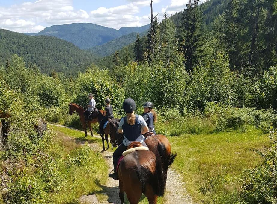 River Run Ranch - Telemark Drangedal Buitenkant foto