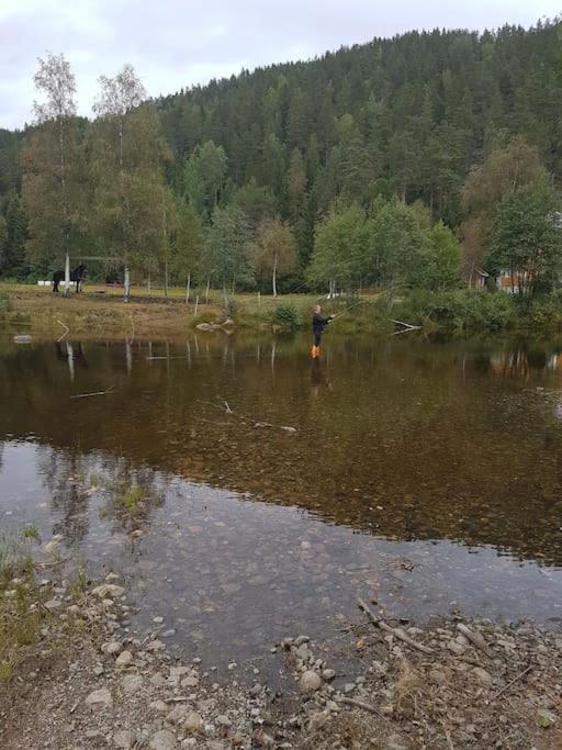 River Run Ranch - Telemark Drangedal Buitenkant foto