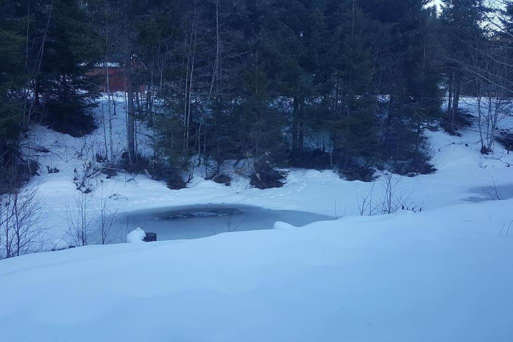 River Run Ranch - Telemark Drangedal Buitenkant foto
