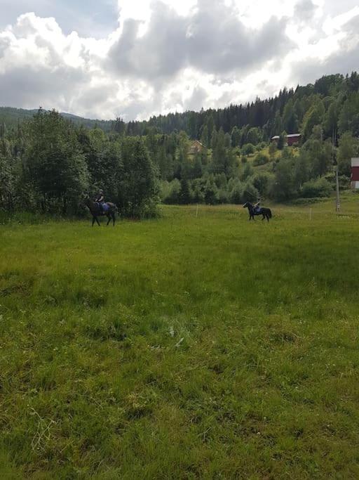 River Run Ranch - Telemark Drangedal Buitenkant foto
