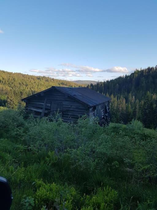 River Run Ranch - Telemark Drangedal Buitenkant foto