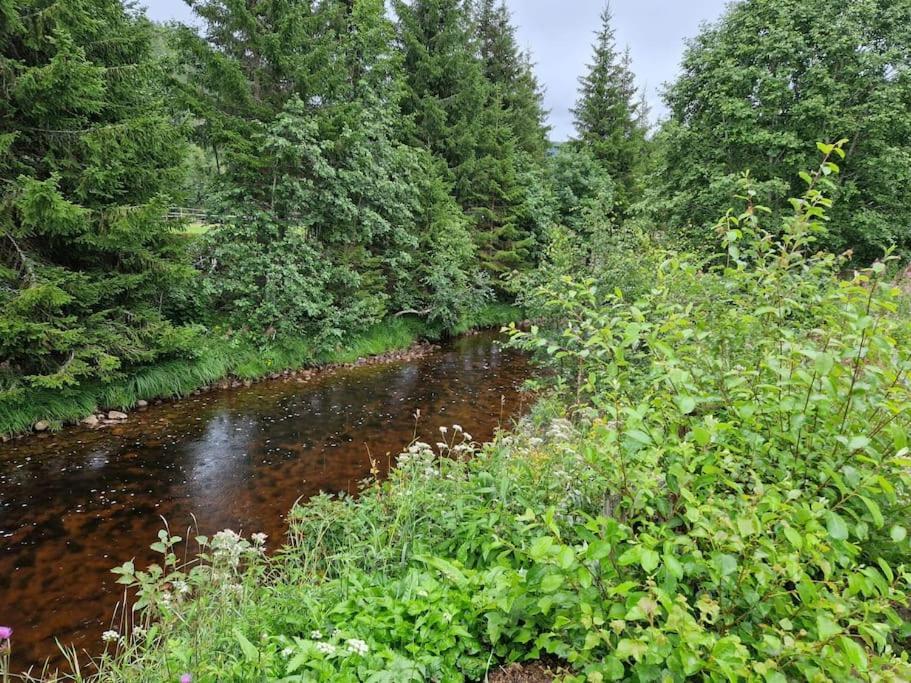 River Run Ranch - Telemark Drangedal Buitenkant foto