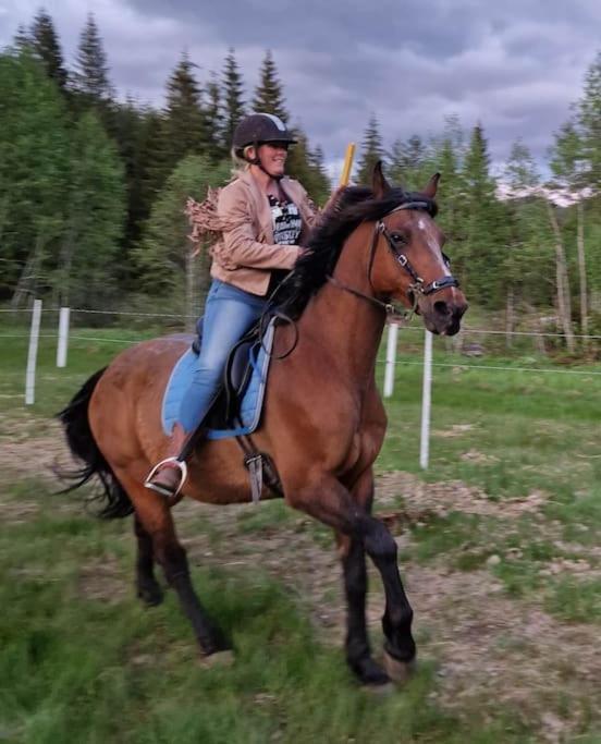 River Run Ranch - Telemark Drangedal Buitenkant foto
